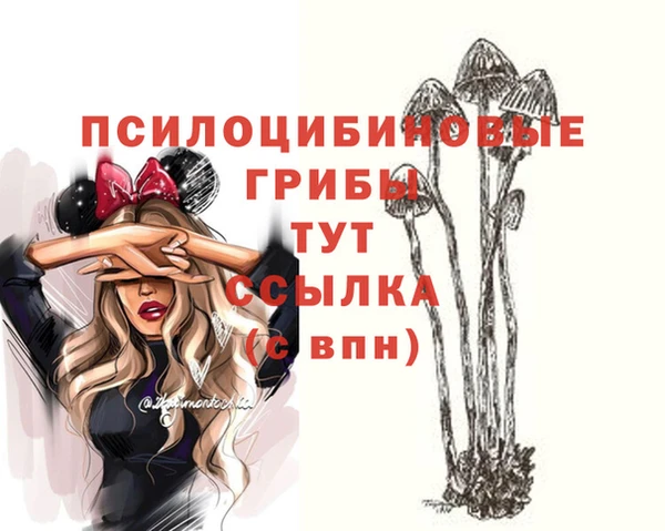 соль курить ск Алексин