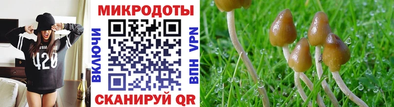 наркота  Избербаш  Галлюциногенные грибы MAGIC MUSHROOMS 